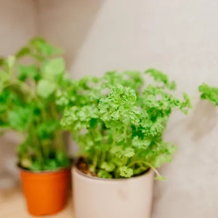 Apartmán Svaeta Trojica *