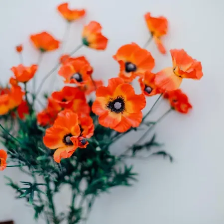 Appartamento Svätá Trojica *