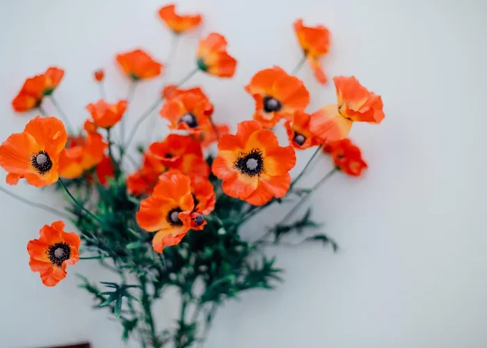 Διαμέρισμα Svaeta Trojica *